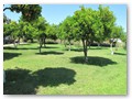 Batont Garden (11)