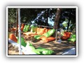 Cande Vista Hill (29)