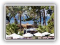 crystal_aura_beach (18)