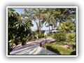 crystal_aura_beach (19)
