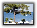 crystal_aura_beach (32)