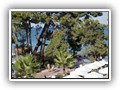 crystal_aura_beach (37)