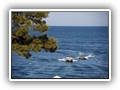 crystal_aura_beach (42)