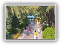 crystal_aura_beach (46)