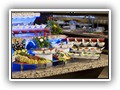 crystal_aura_beach (51)
