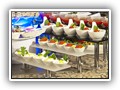 crystal_aura_beach (53)