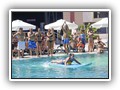 crystal_aura_beach (86)