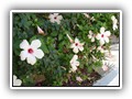 Crystal Bodrum (34)