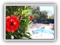 Crystal Bodrum (59)