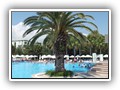 delphin_botanik_hotel (14)