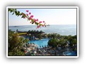 delphin_botanik_hotel (2)