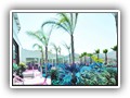 Delta Beach (40)