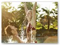 IC Hotels Green Palace (42)