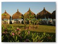 IC Hotels Green Residence (4)