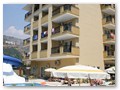 Kleopatra Royal Palm (15)