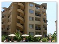 Kleopatra Royal Palm (16)