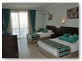 Kleopatra Royal Palm (2)