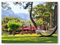 Paloma Renaissance (12)