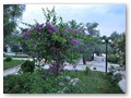 Patio Beach Club (46)
